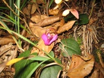 img_8675.jpg