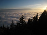 img_8686.jpg