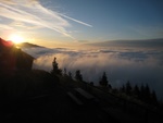 img_8733.jpg