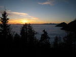img_8761.jpg