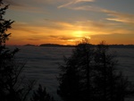 img_8765.jpg