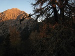 img_8598.jpg
