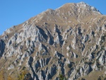 img_8603.jpg