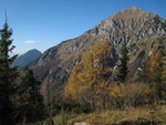 img_8604.jpg