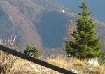 img_8616.jpg
