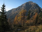 img_8618.jpg