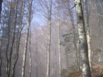 dscf2492.jpg
