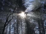 dscf2494.jpg