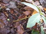 dscf2498.jpg