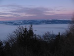 img_0891.jpg