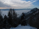 img_0919.jpg