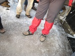 img_1230.jpg