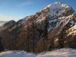 img_1233.jpg