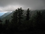 img_2701.jpg