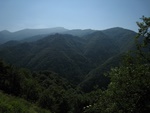 img_2925.jpg
