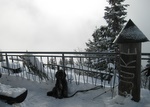 img_6865.jpg
