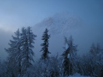 img_6907.jpg