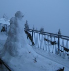 img_6930.jpg
