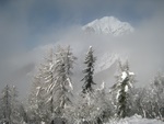 img_6979.jpg