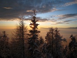 img_7006.jpg