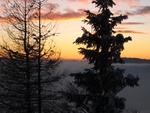 img_7021.jpg
