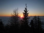 img_7121.jpg