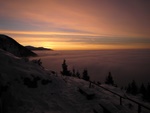 img_7137.jpg