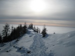 img_7167.jpg