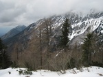 img_8443.jpg