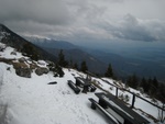 img_8445.jpg
