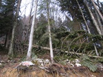 img_8482.jpg